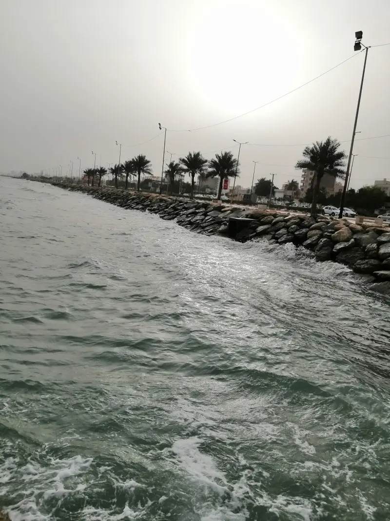 پارک ساحلی غدیر - تصویر 9