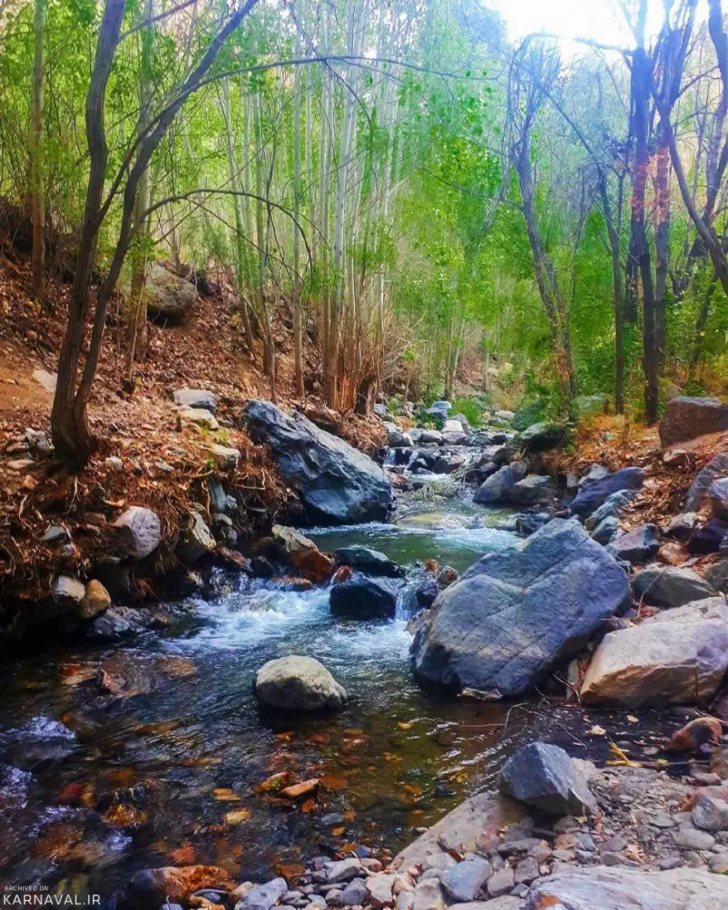 روستای بوژان - تصویر 7