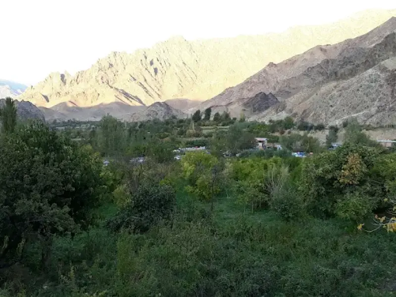 پناهگاه حیات‌‍وحش کیامکی - تصویر 3