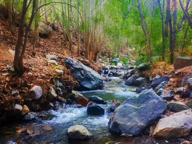 روستای بوژان - تصویر 7