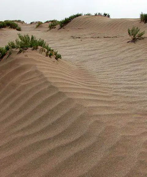 کویر میقان، مرکزی
