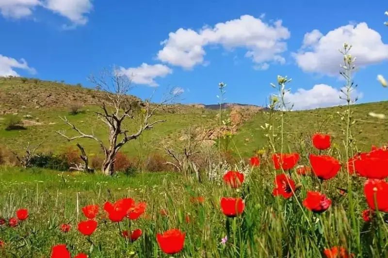 پارک ملی خجیر - تصویر 5