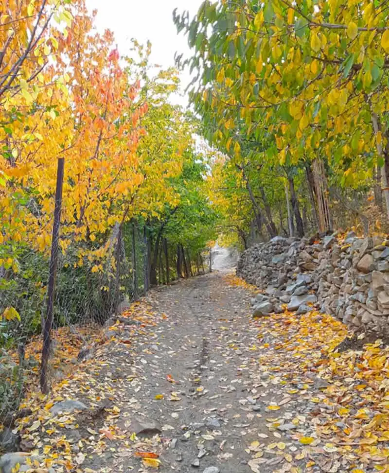 روستای آهار - تصویر 8