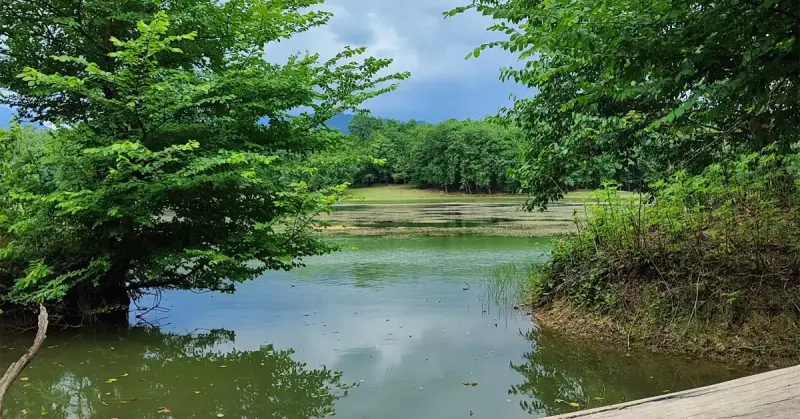 دریاچه جوربند - تصویر 4
