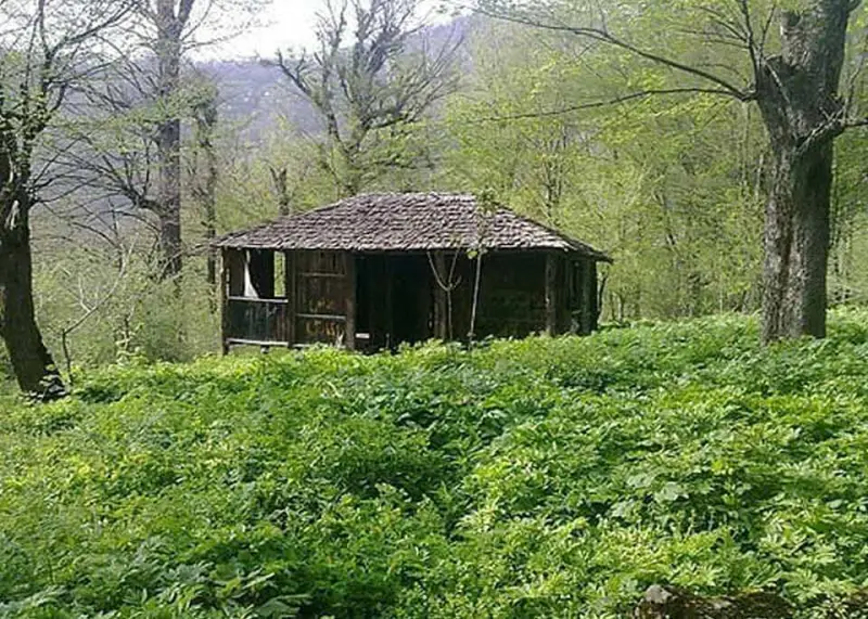 روستای سیاه رودبار - تصویر 5