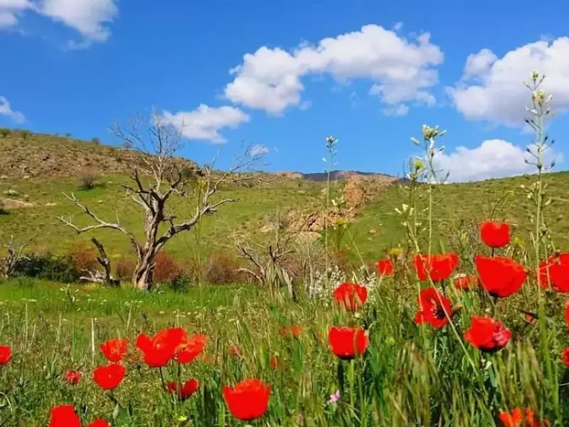 پارک ملی خجیر - تصویر 5
