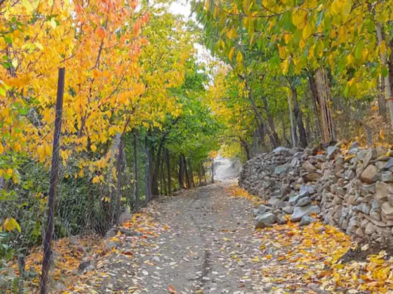 روستای آهار - تصویر 8