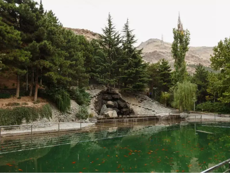 پارک جنگلی جمشیدیه