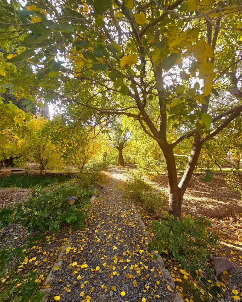 باغ و عمارت رحیم آباد - تصویر 18