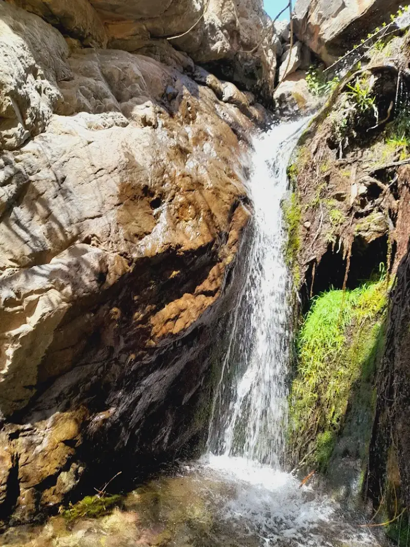 آبشار طامه - تصویر 8