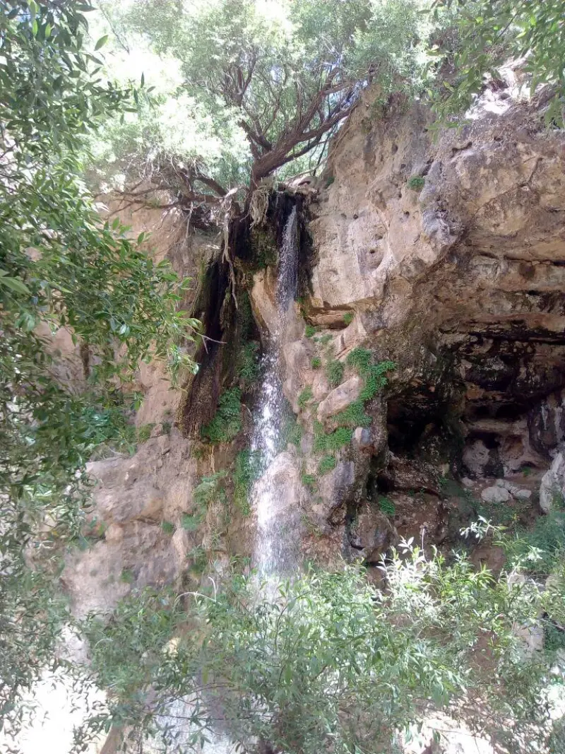 آبشار چناقچی - تصویر 4