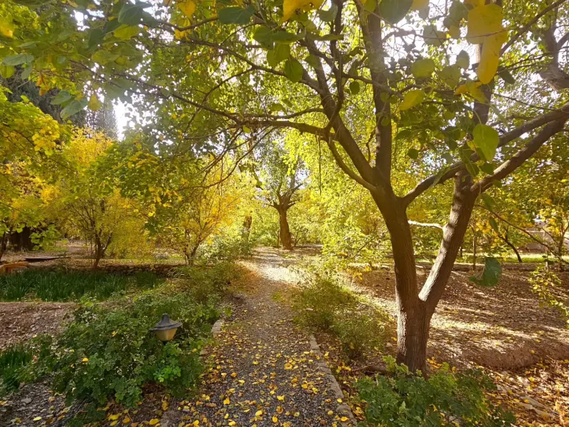 باغ و عمارت رحیم آباد - تصویر 18