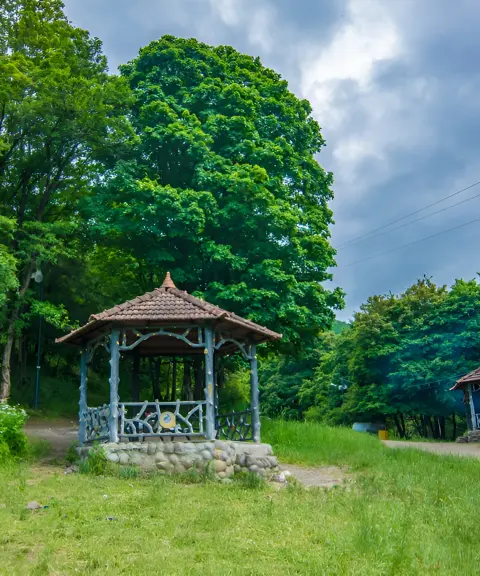 پارک جنگلی مکیدی، آذربایجان شرقی
