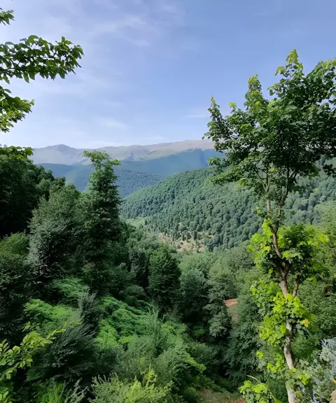 پارک جنگلی خربزه چشمه، مازندران