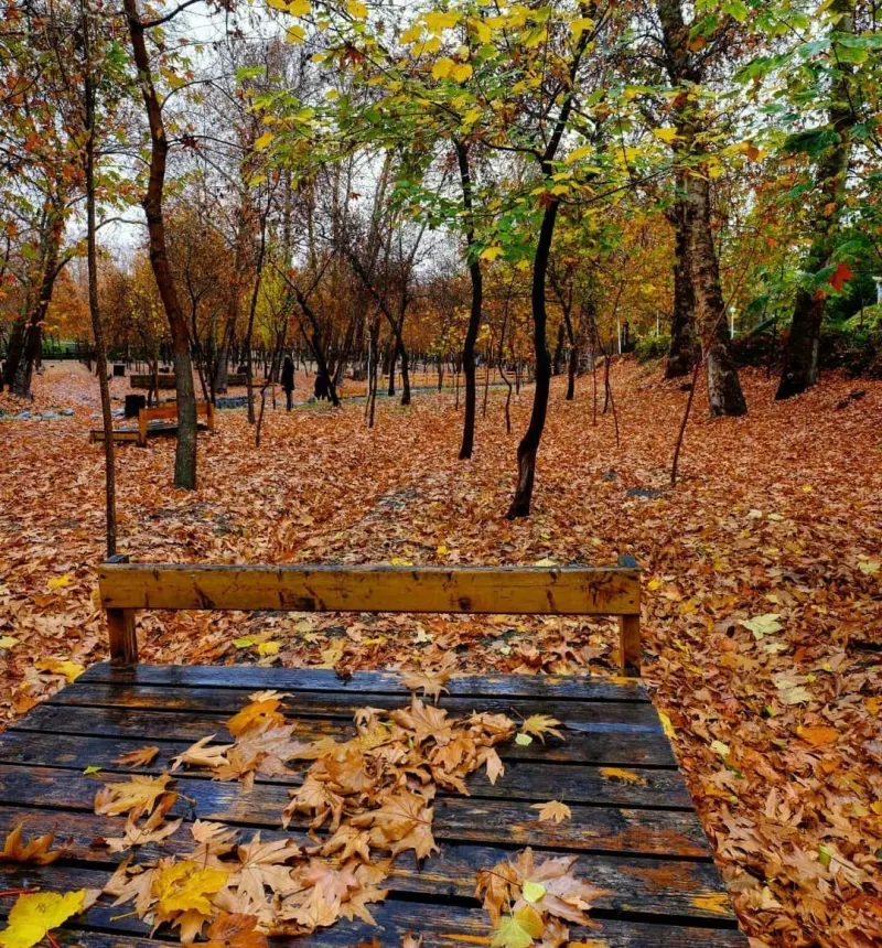 پارک وکیل‌آباد - تصویر 12