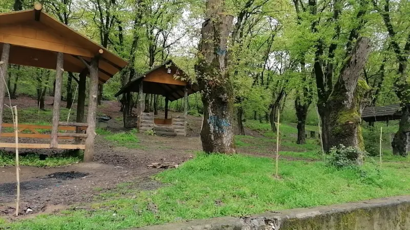 پارک جنگلی شهید زارع - تصویر 6