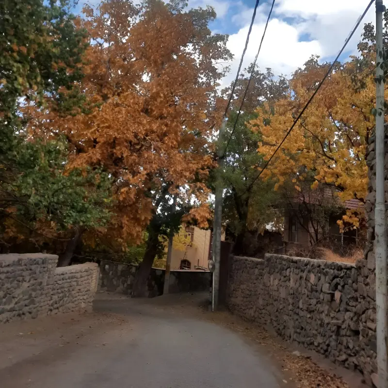 روستای طامه - تصویر 5