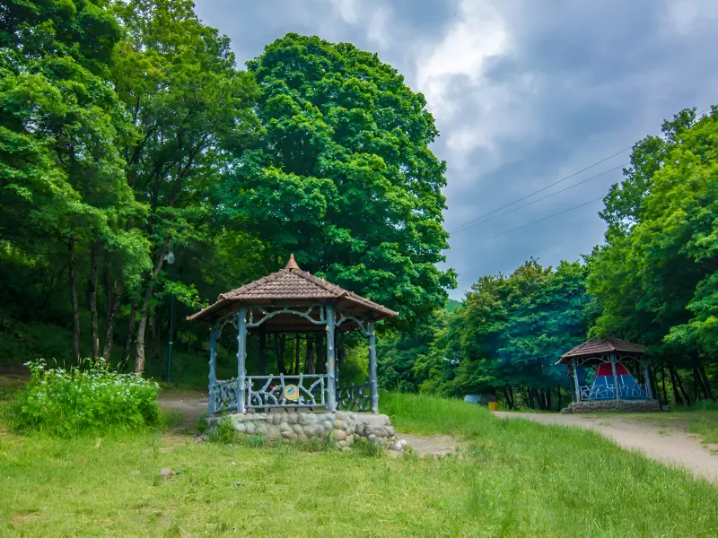 پارک جنگلی مکیدی