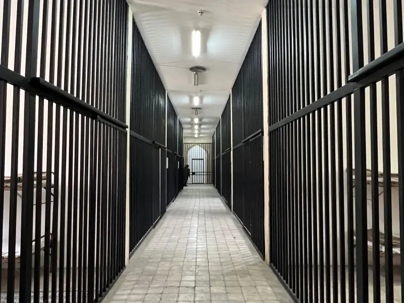 باغ موزه قصر - تصویر 8