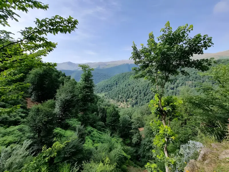 پارک جنگلی خربزه چشمه