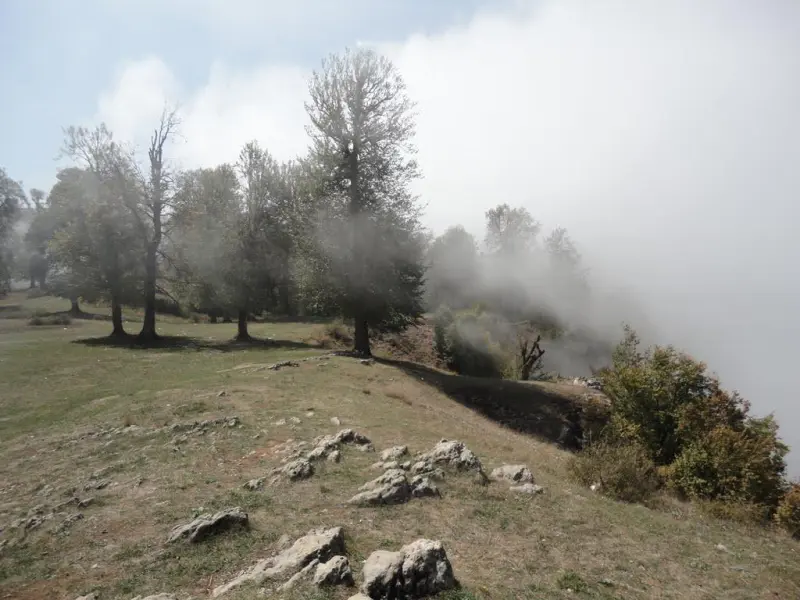 چکل سر - تصویر 3