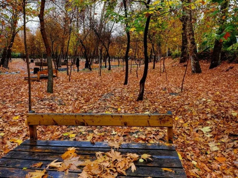 پارک وکیل‌آباد - تصویر 12