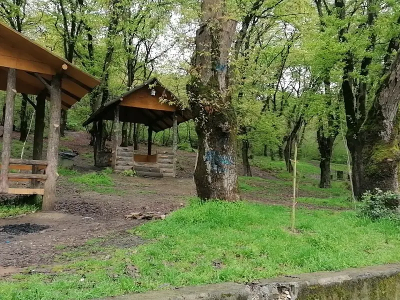 پارک جنگلی شهید زارع - تصویر 6