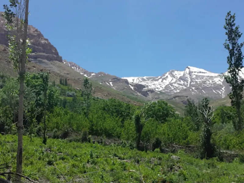 روستای خفر - تصویر 4