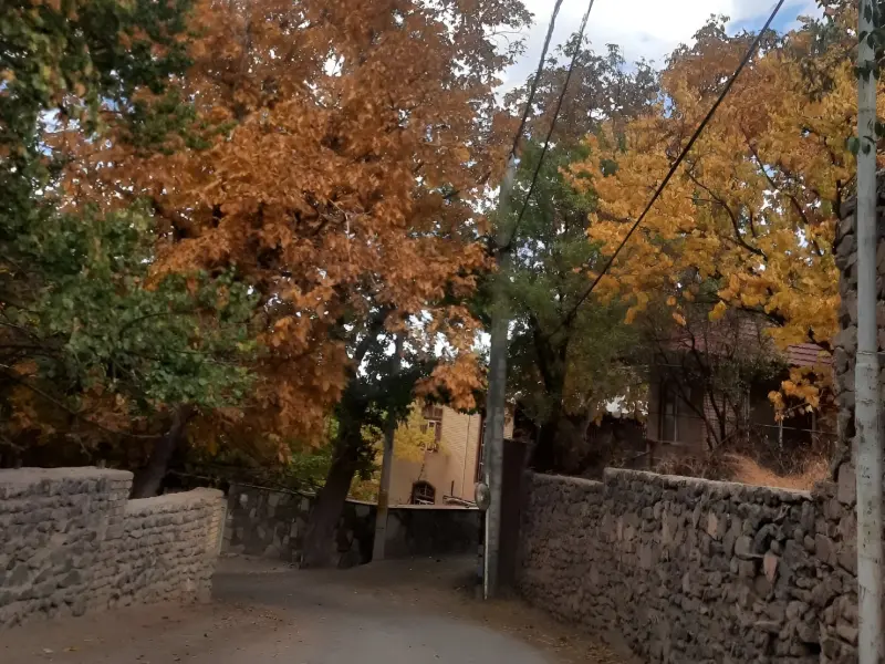 روستای طامه - تصویر 5