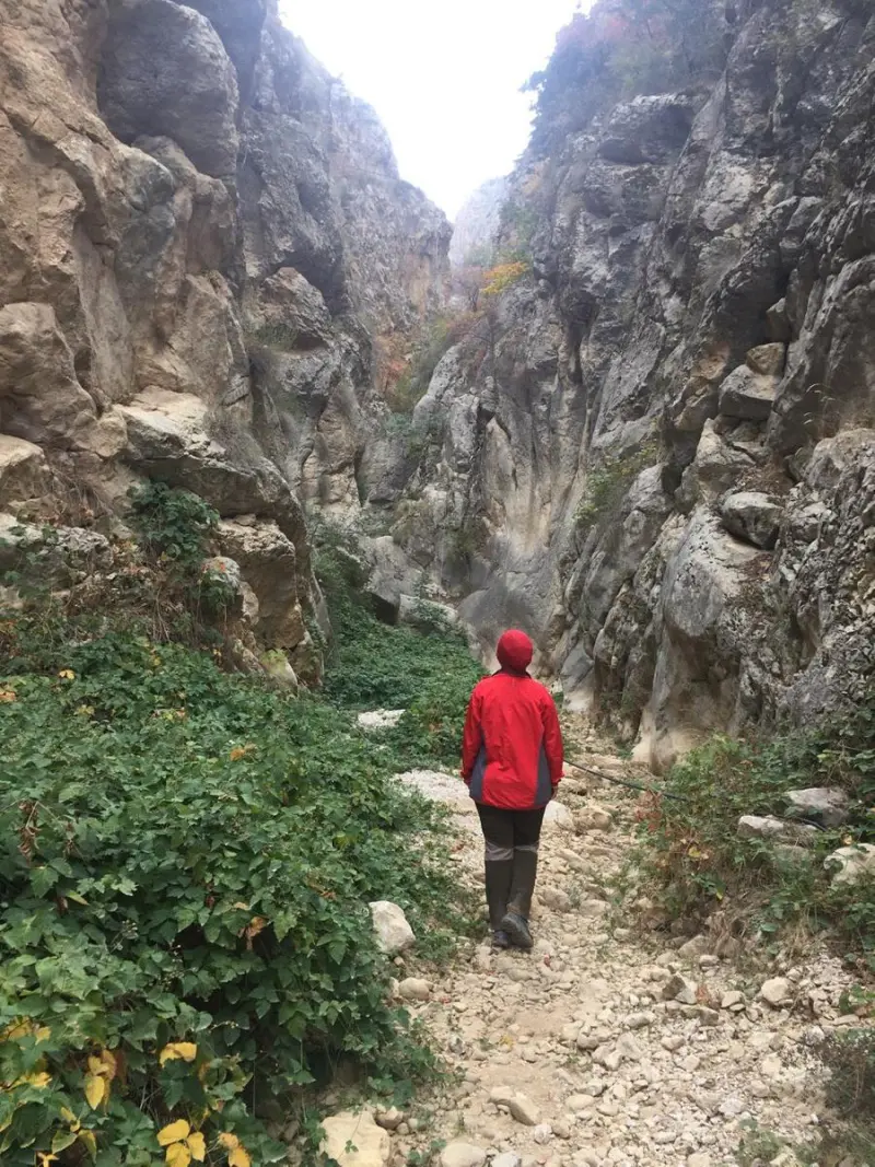 دره کنگره‌ - تصویر 1