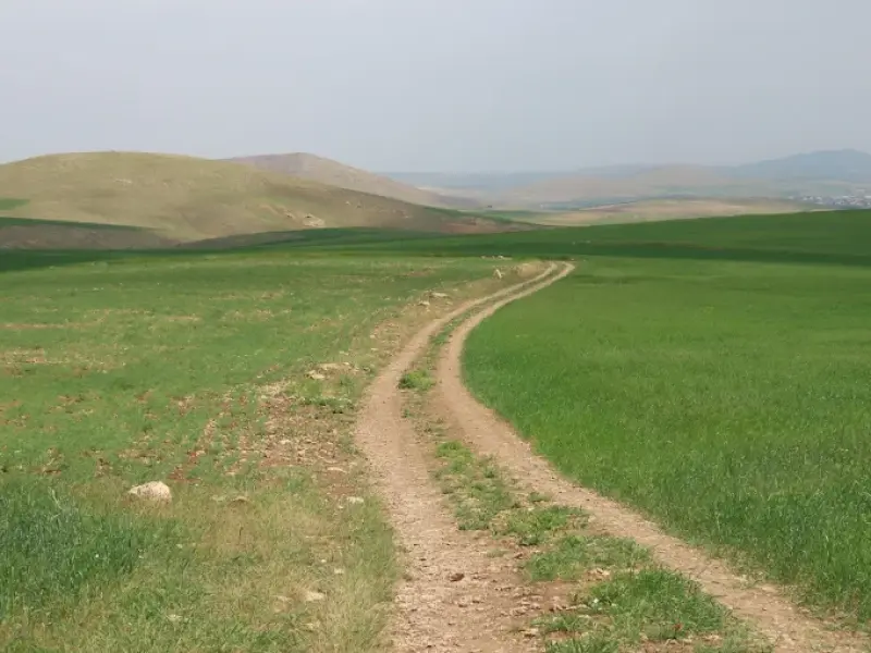 پناهگاه حیات‌وحش سوتاو حمامیان - تصویر 2