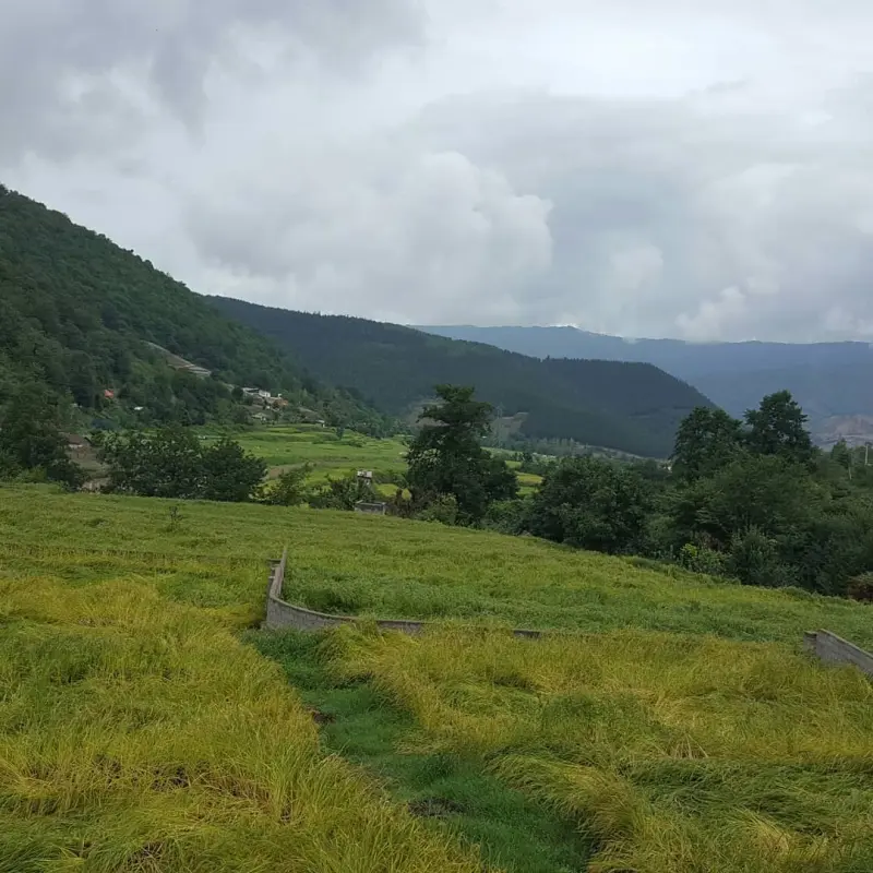روستای گل خواران - تصویر 1