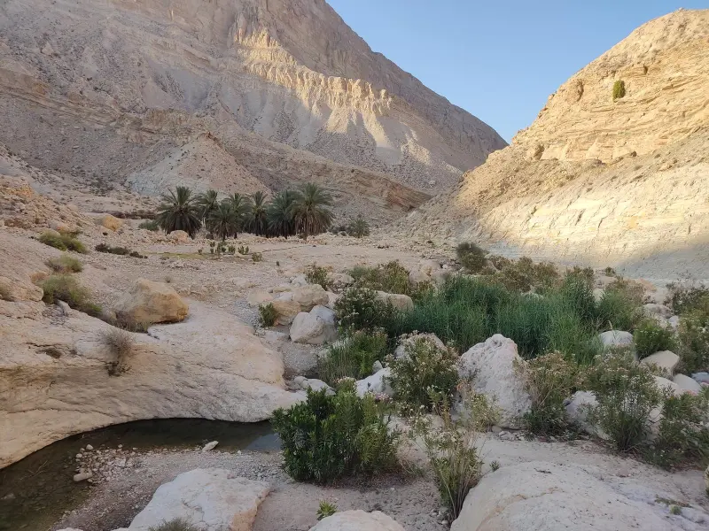 تنگ هیخ - تصویر 3