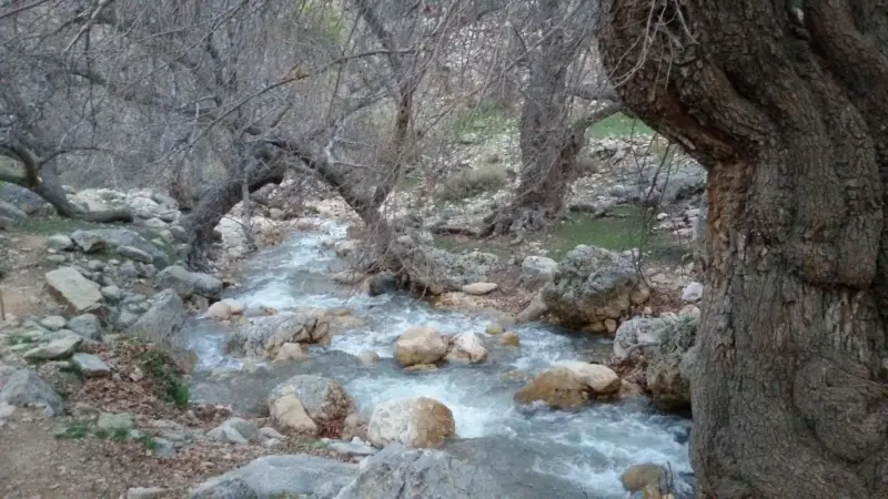 تنگ خانی - تصویر 3