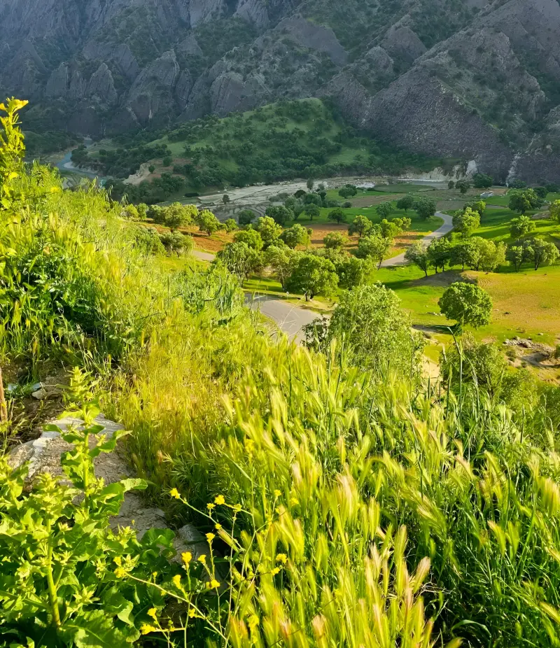روستای مهرنجان - تصویر 3
