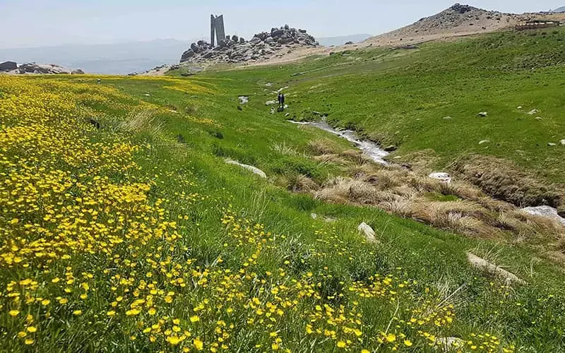 دشت میشان - تصویر 2