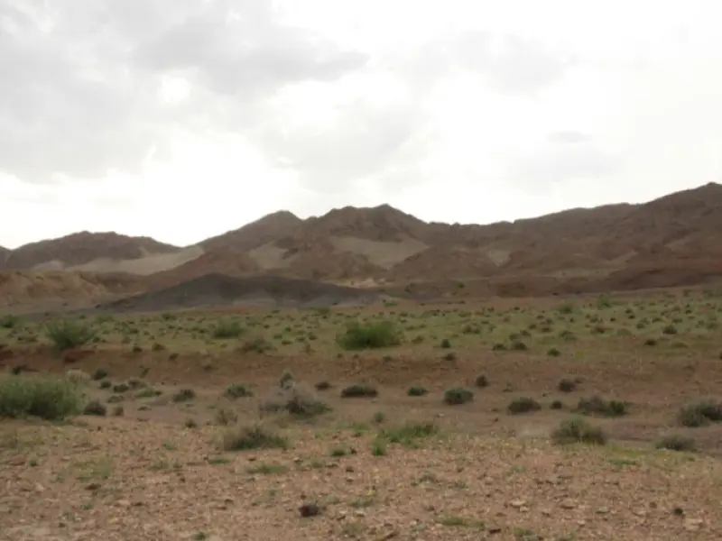 پارک ملی سیاه‌کوه