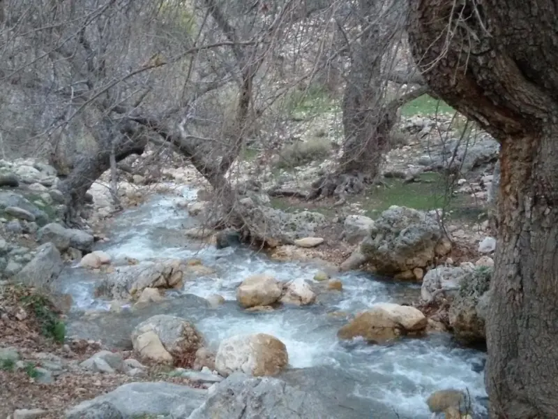 تنگ خانی - تصویر 3