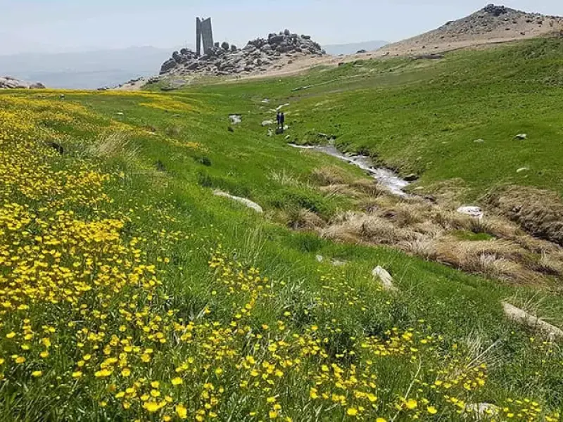 دشت میشان - تصویر 2
