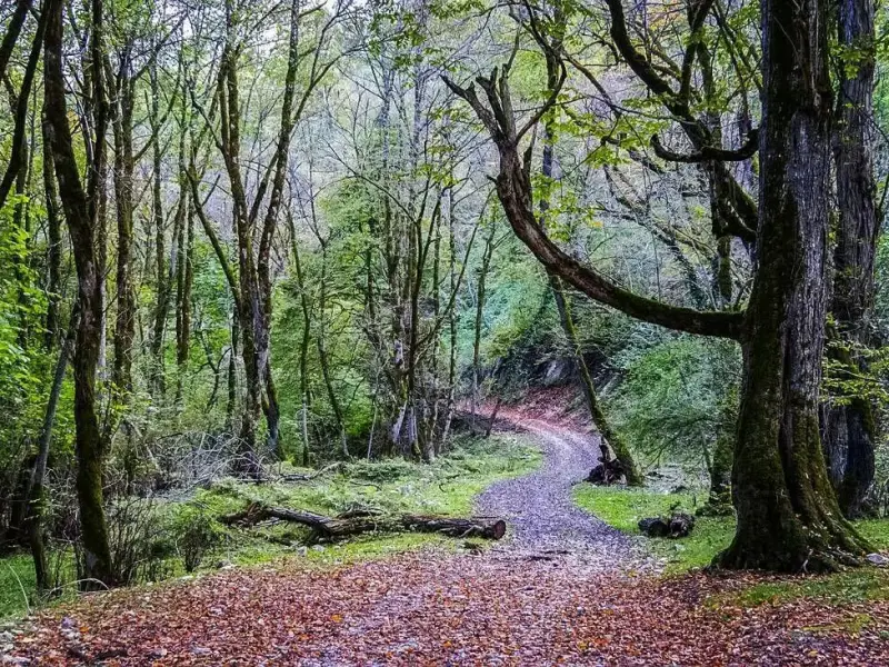 روستای سینوا - تصویر 8