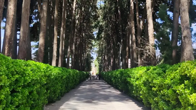 باغ اکبریه بیرجند - تصویر 5