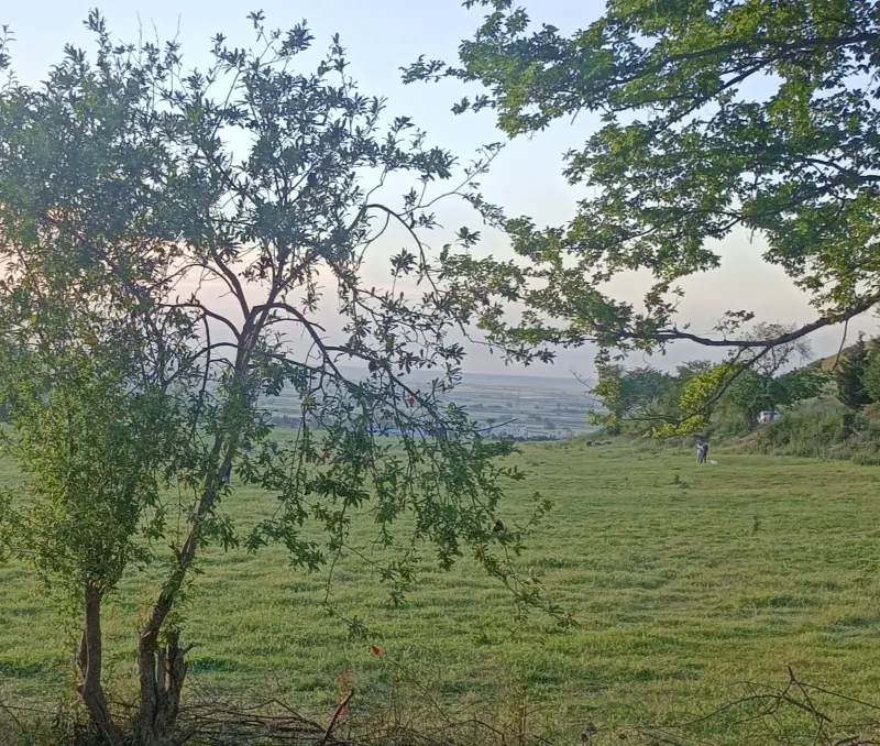 چشمه پلنگ خیل - تصویر 5