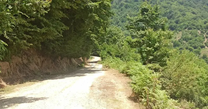 روستای وناجم - تصویر 2