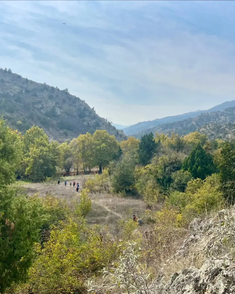 جنگل آنزا - تصویر 1