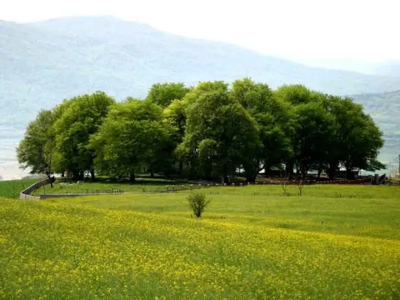 روستای ورند - تصویر 6