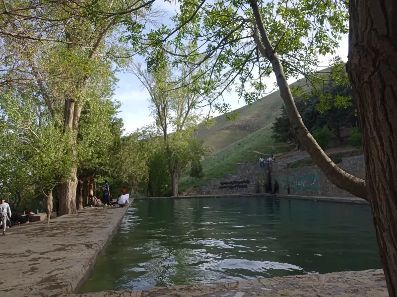 گویزه کویر - تصویر 1