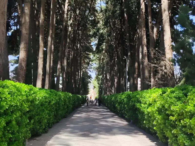 باغ اکبریه بیرجند - تصویر 5
