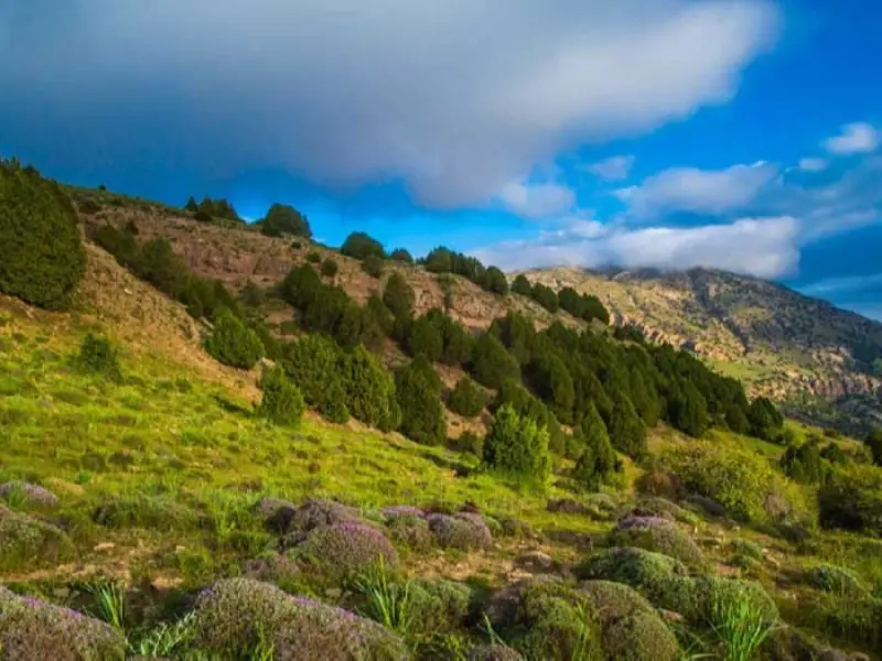 دره سیستان