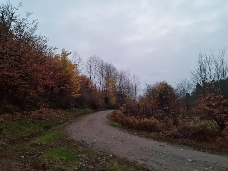 روستای خانه آسیاب - تصویر 3