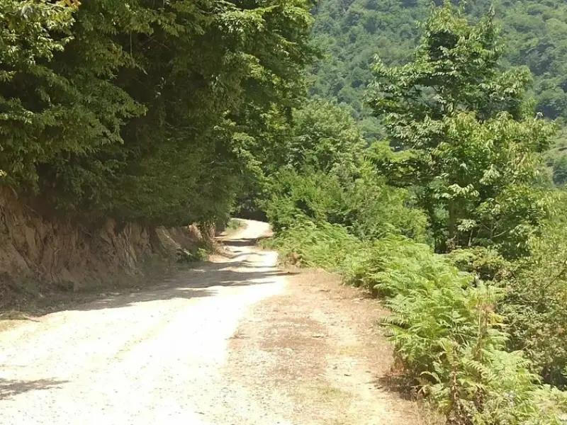 روستای وناجم - تصویر 2